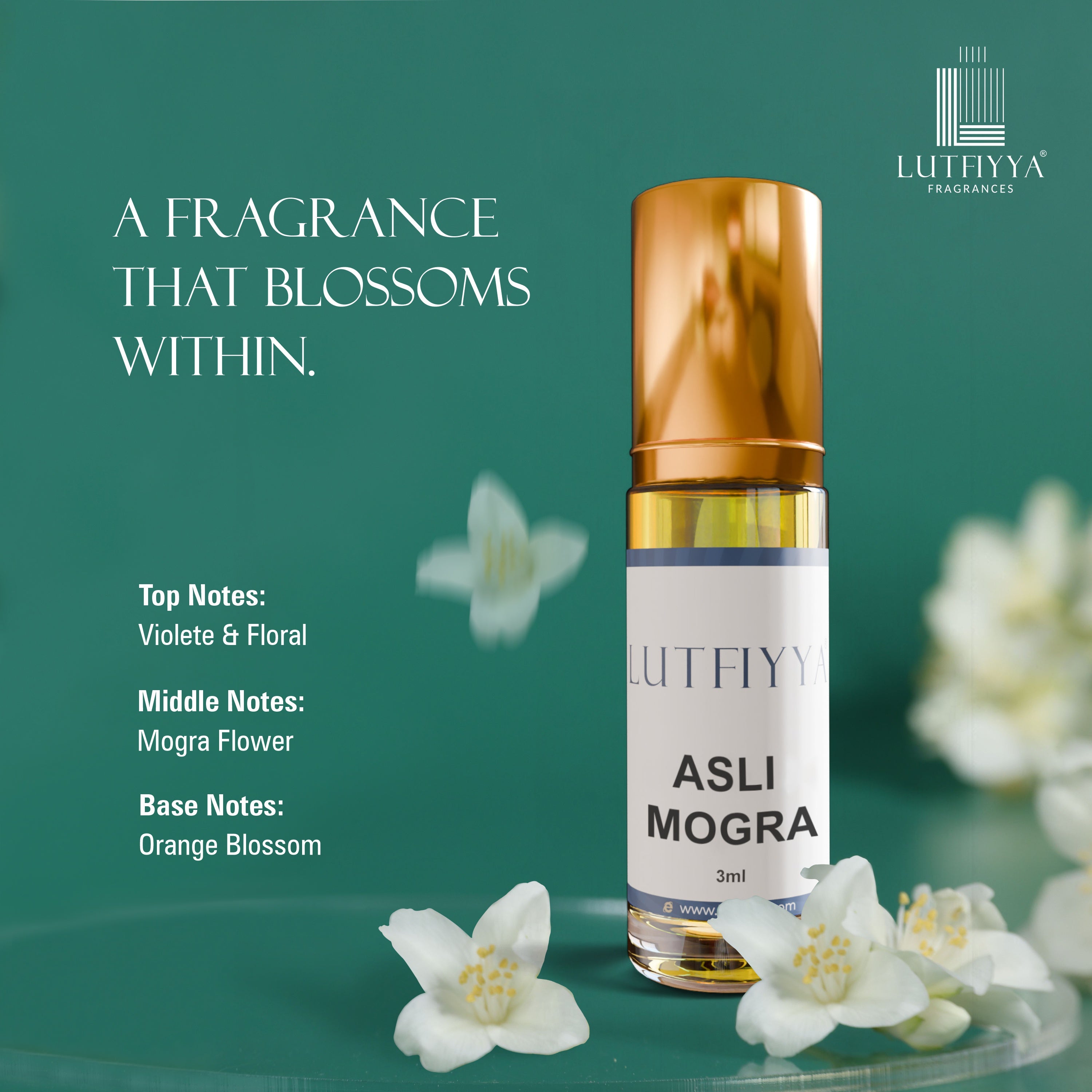 Majestic Collection - Pack Of 5