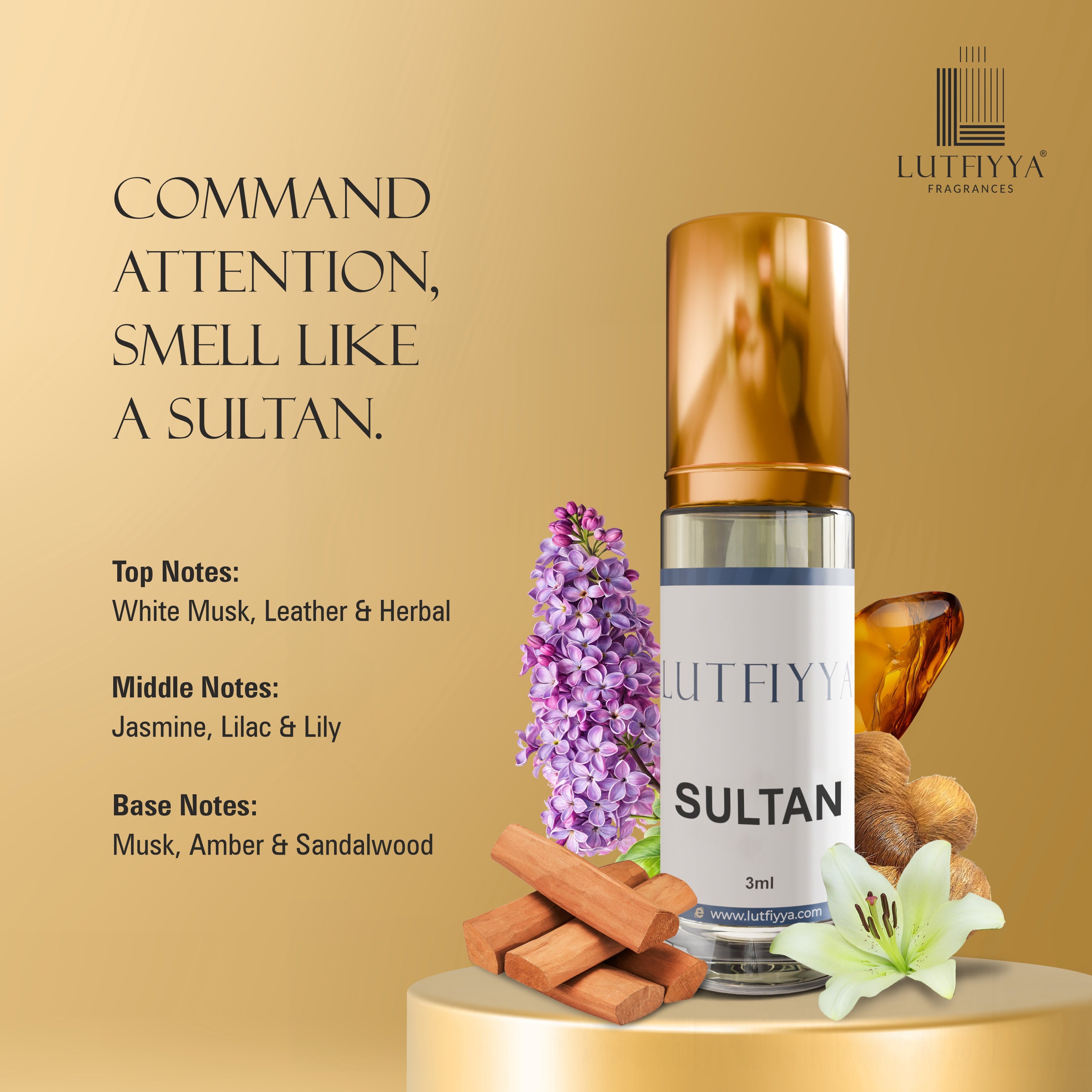 Rivora Collection - Pack of 5