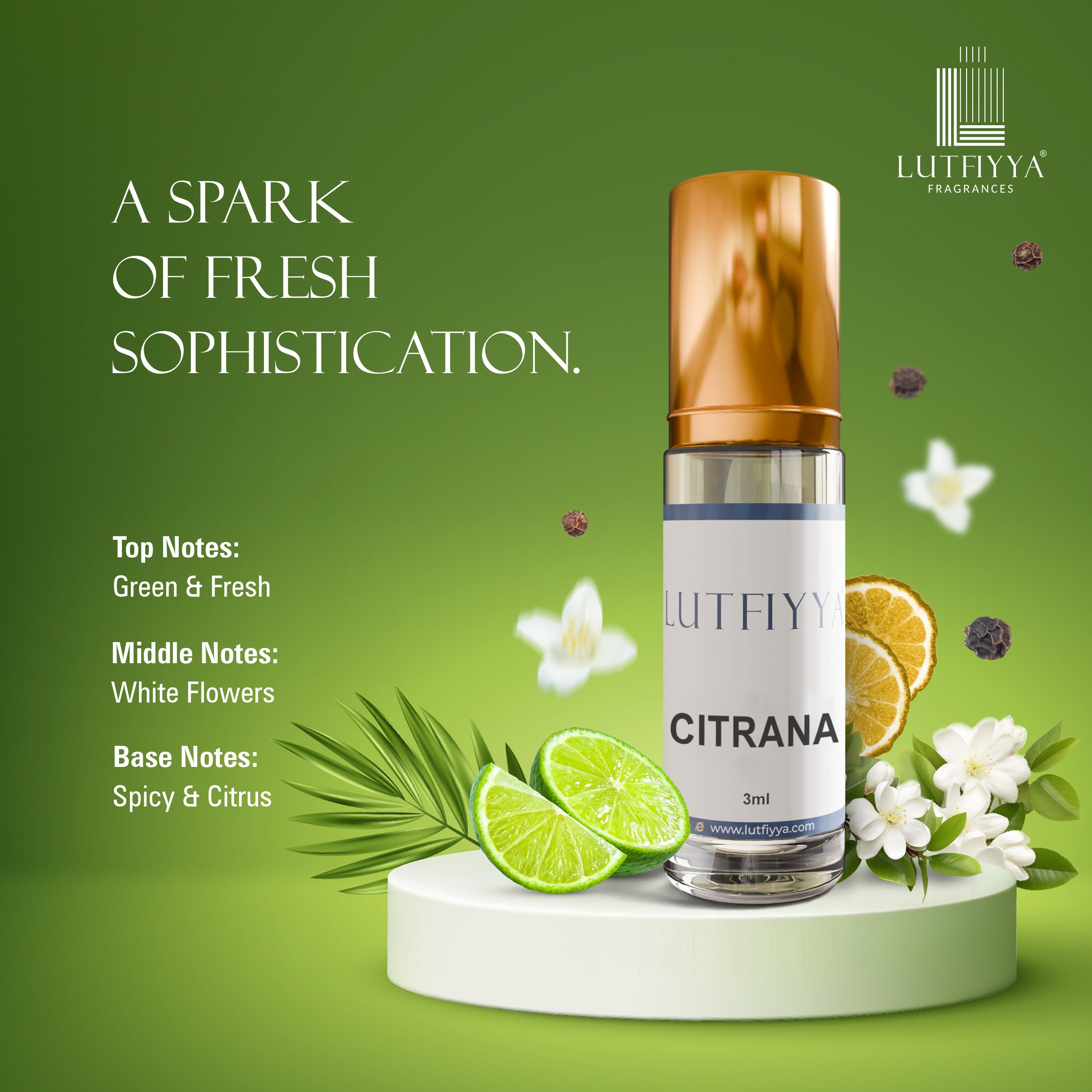 Rivora Collection - Pack of 5