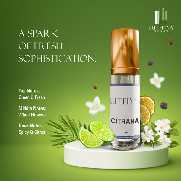 Rivora Collection - Pack of 5