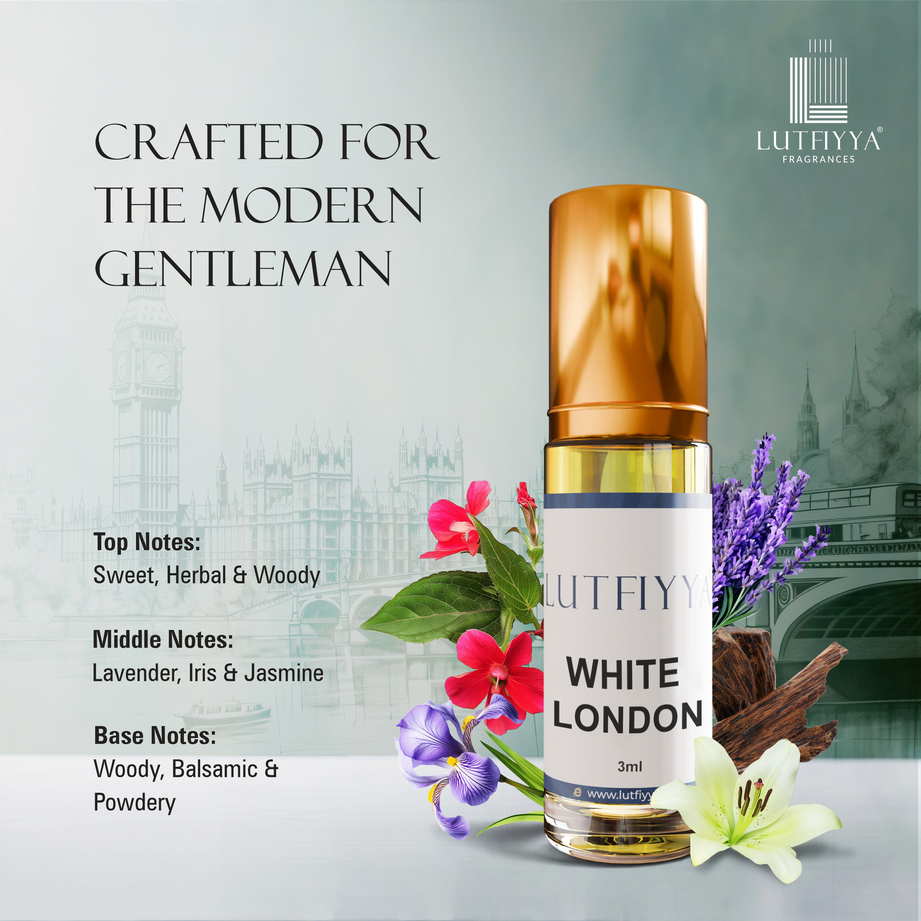 Rivora Collection - Pack of 5