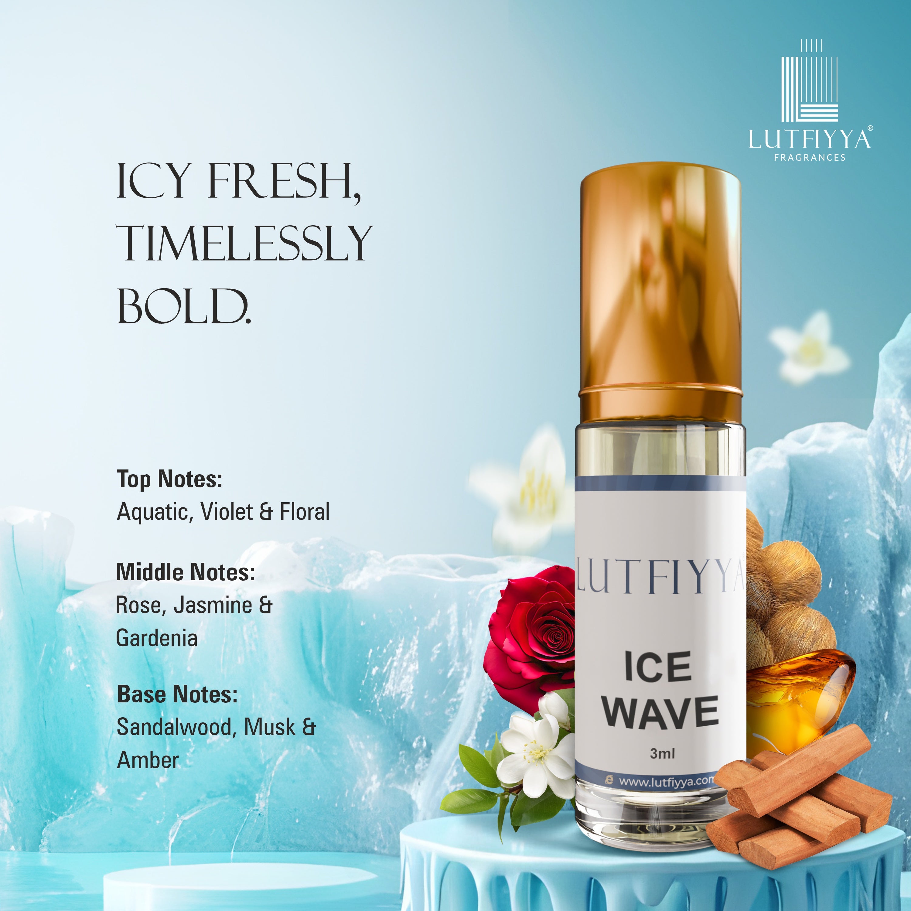 Signature Collection - Pack Of 5