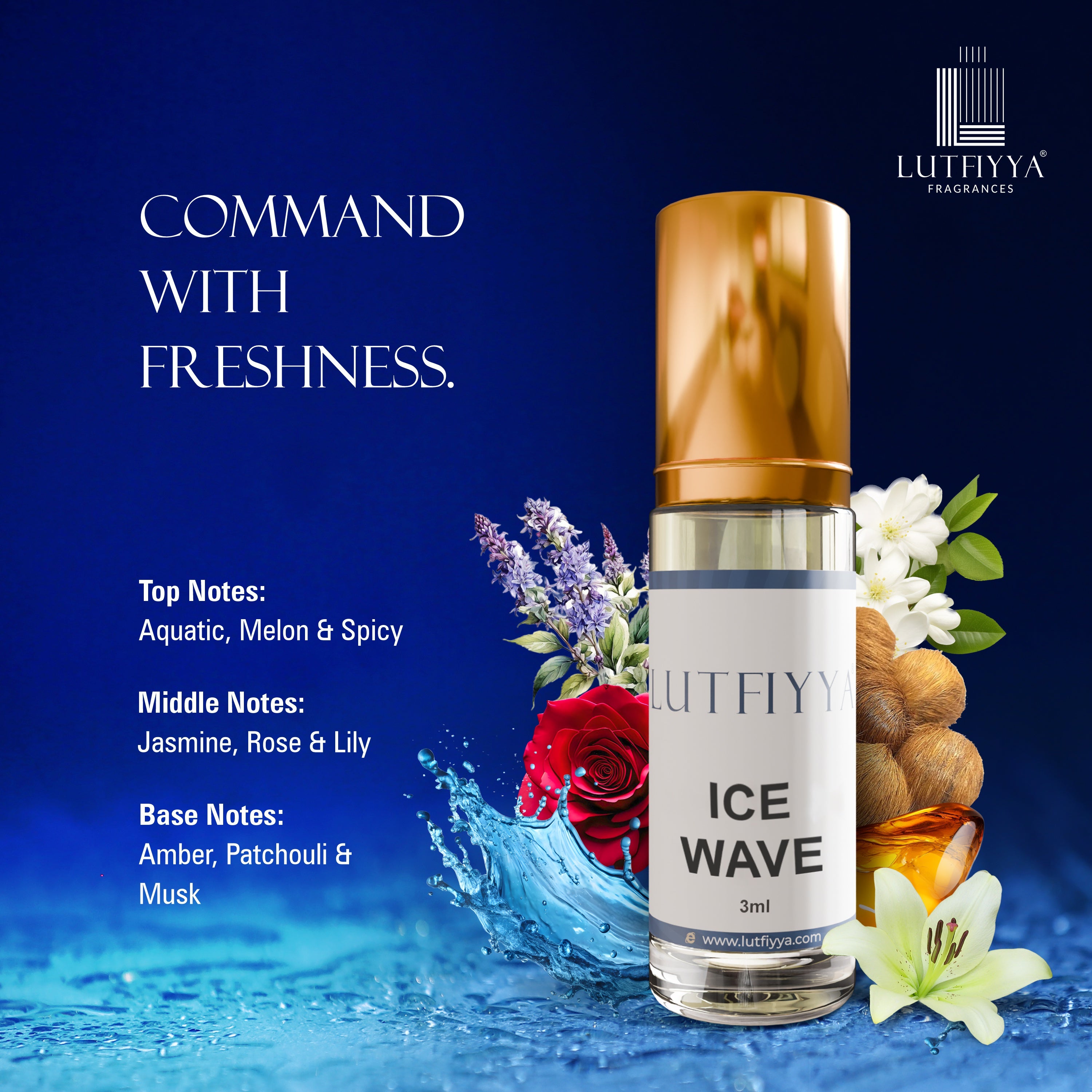 Signature Collection - Pack Of 5